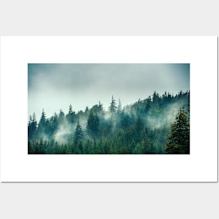 Trees in the Mist II Posters and Art